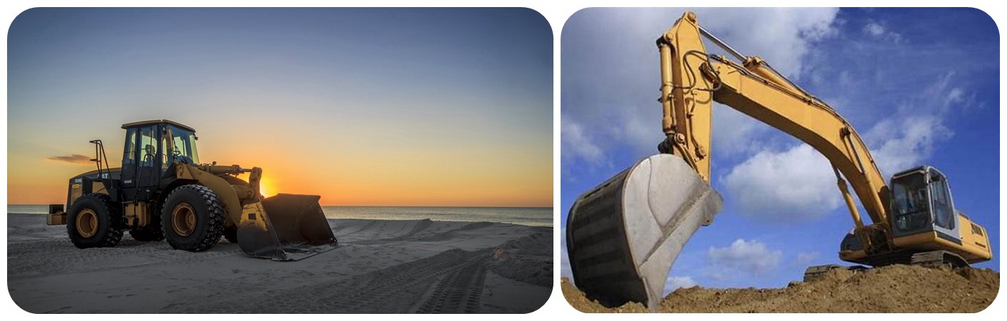 NeoImage11 NeoImage11