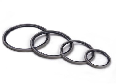 PTFE Piston Seals